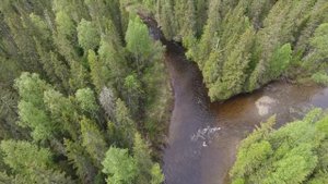 Северная река 2019 июнь