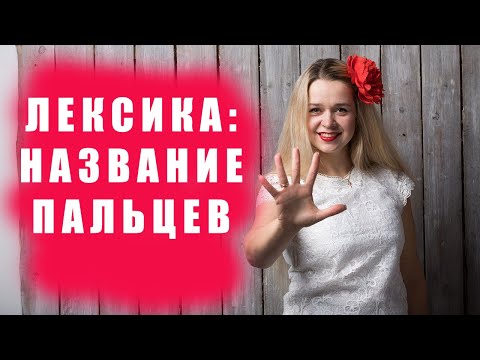 Пальцы на испанском _ испанская лексика.