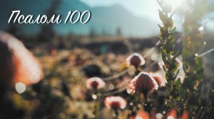 Псалом 100