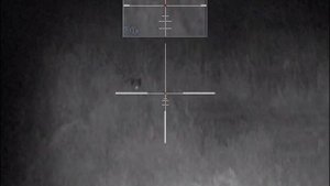 Цифровой прицел Pulsar Digisight Ultra N355 (часть 1)