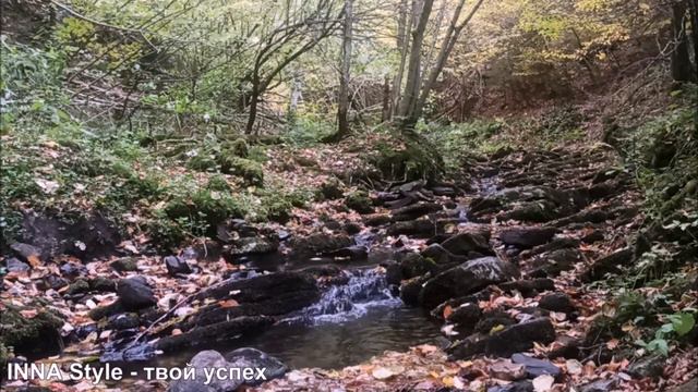 Трансцендентальное путешествие: раскройте свои нервы с шумом ручья и пением птиц