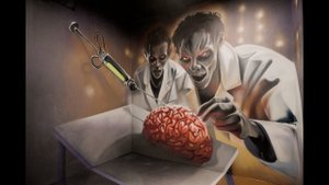 The Museum of Illusions from Sky Production company