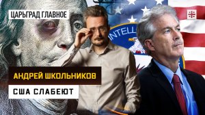 Андрей Школьников на телеканале Царьград: США слабеют (31.01.2024)