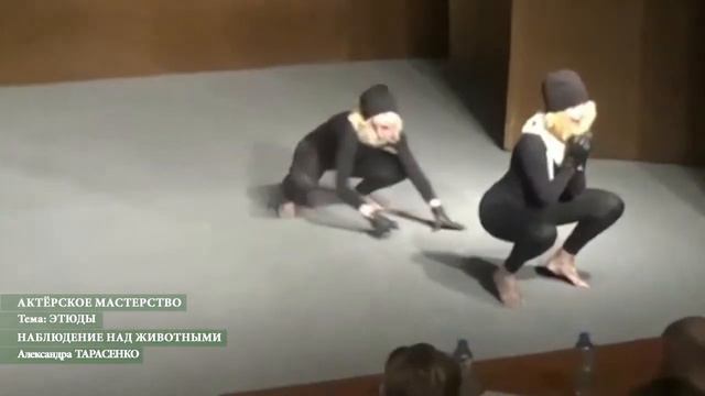 АКТЁРСКОЕ МАСТЕРСТВО. Этюды. ТЕМА: "Наблюдение над животными"