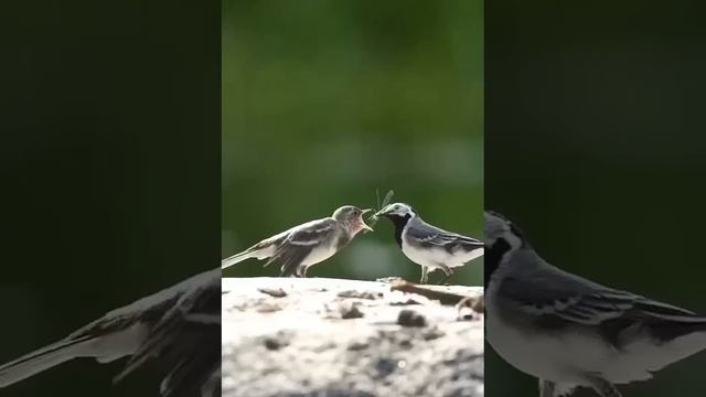 Все времена года в одном видео