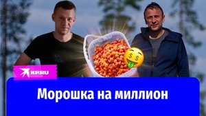 Морошка на миллион: как заработать на сборе ягод в Карелии