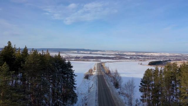 Сенгилей-2021 