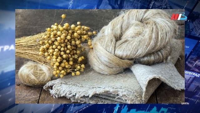 Что нельзя делать 28 февраля 2024 года