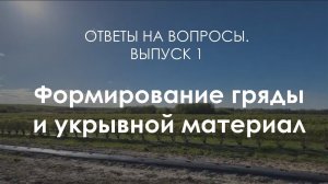 Жимолость: формирование гряды, использование агроткани. Экоферма "Шуйские ягоды". Ответы на вопросы.