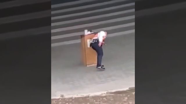 ДомашниеПитомцы