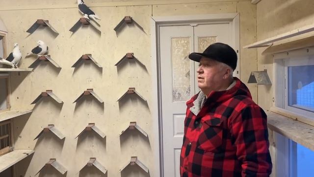 Бойные Голуби?В гостях у Василича!Чебаркульские голуби и много чего интересного! #бойныеголуби