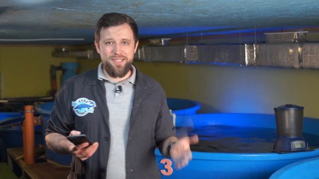 Как ПРАВИЛЬНО рассчитать СЕБЕСТОИМОСТЬ РЫБЫ на ферме УЗВ?