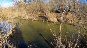 Крупный Ёрш на Поплавок! Ёрш в Апреле! Рыбалка и ловля