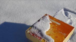 Зимовка рыб в дачном пруду, с новой теплой лункой