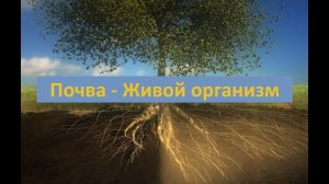 Почва   Живой организм