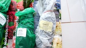 Посылка с РОЗАМИ Семена Алтая! Новинки сорта 2022 года. Интересно, что вырастет?