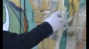 Андрей Климнюк и Сергей Клушин Шоколад