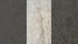 Где живёт Кирилл из Макс Ващенко😯😮