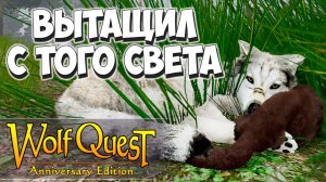 Смертельная болезнь! WolfQuest: Anniversary Edition #17