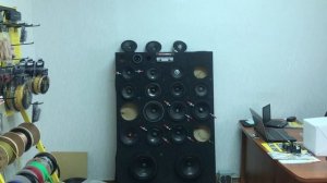 Новинка !!! 16,5 см акустика Dynamic State PM 165.4