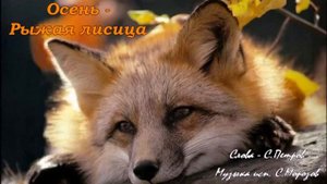 Осень рыжая лисица С Петров муз исп С Морозов