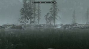 Pygmy Sunfish Locations Skyrim (How to Catch Pygmy Sunfish)