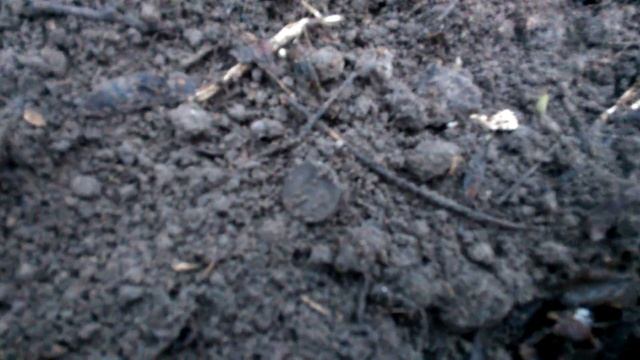 Серебро 20 копеек 1924 г, коп в лесу смотреть онлайн