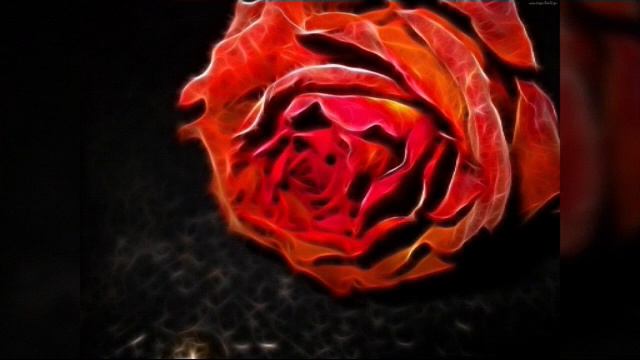 Картинки с цветами смотреть онлайн