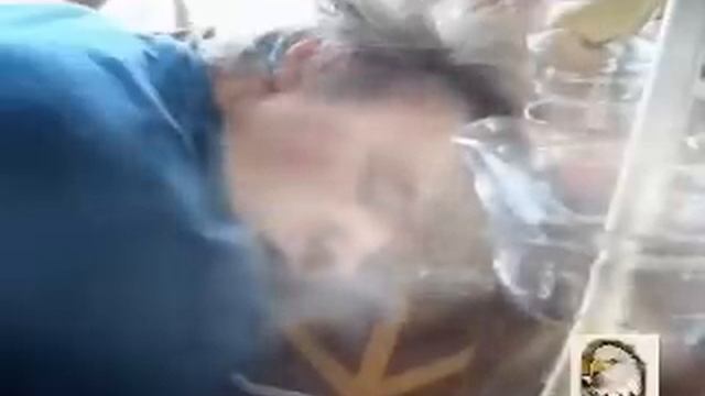 032. Marijan Smode Ne pojte prijatelji смотреть онлайн