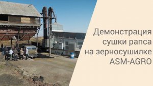 Демонстрация сушки рапса на зерносушилке ASM-AGRO | Хакасия, 2021