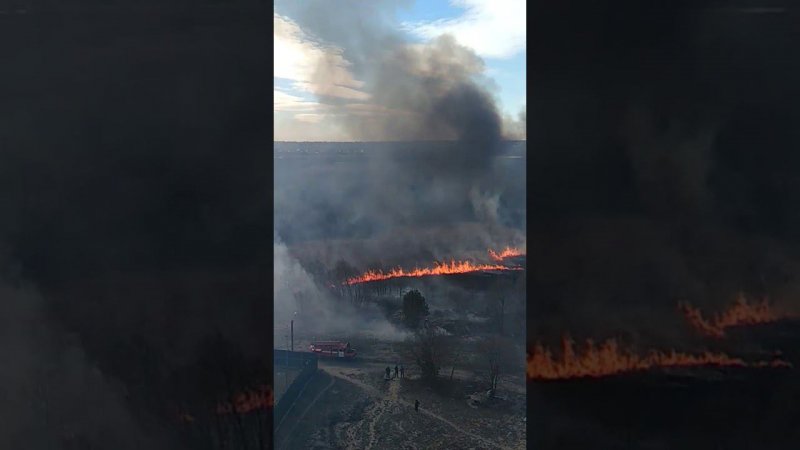 Крупный пожар в Воронежской области