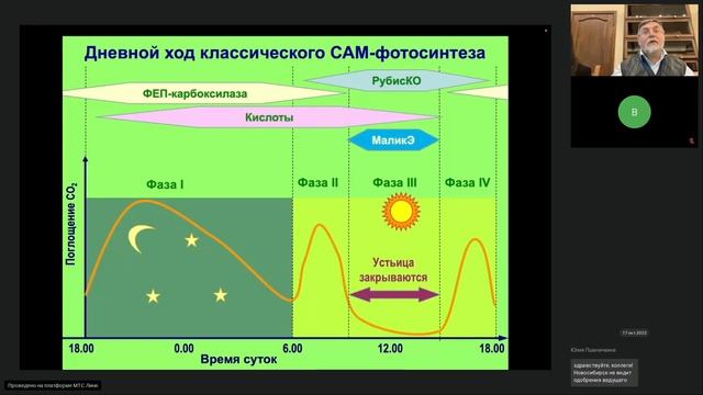 CAM-фотосинтез