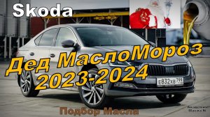 Skoda: Дед МаслоМороз. Что Делать? Что Покупать? Что Дарить? Что Заливать? (2024)