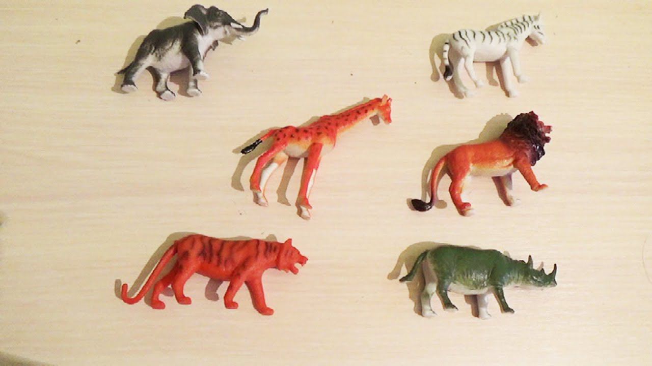 Животные планеты