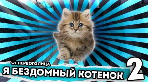 Я БЕЗДОМНЫЙ КОТЕНОК. От первого лица. Серия 2. История одной жизни