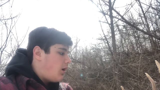 Shed hunting Western New York ( big 8pt set) смотреть онлайн