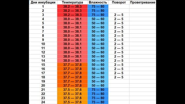 Инкубация фазаньих яиц. Таблица инкубации яиц фазана