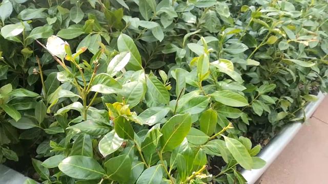 Краснодар парк Галицкого- Заброшенный мир ! смотреть онлайн