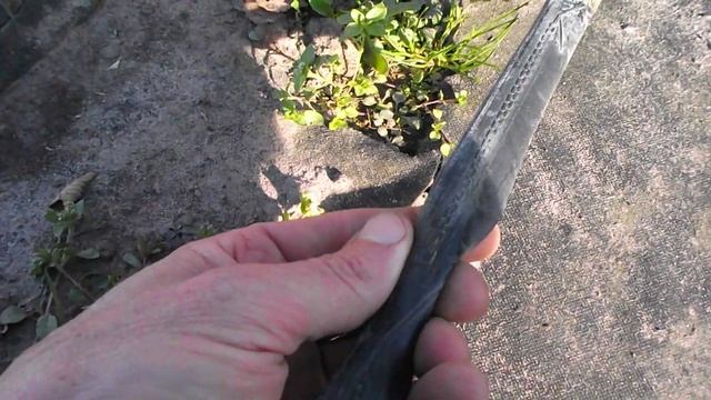 Капельный полив для начинающих. Какой стороной нужно класть капельную ленту.