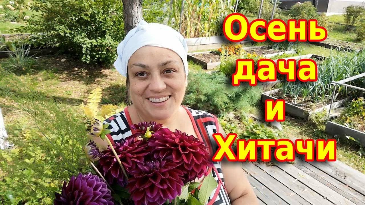 Осенние хлопоты и сплошное расстройство с этой техникой