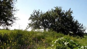 На море с палаткой. Бюджетный отдых в кемпинге.