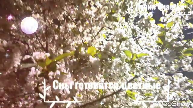 Доброй ночи! Красивое пожелание  Спокойной ночи.