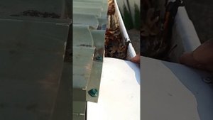 Чистка водосточных желобов перед зимой