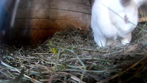 Подготовока