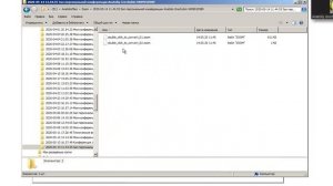 Zoom. Конвертация локальных файлов записи double_click_to_convert_01.zoom вручную.