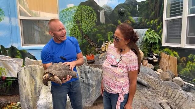 94 Tortoises & special guest MAGGIE going Live from Tortoiseland! 7/23 ? смотреть онлайн