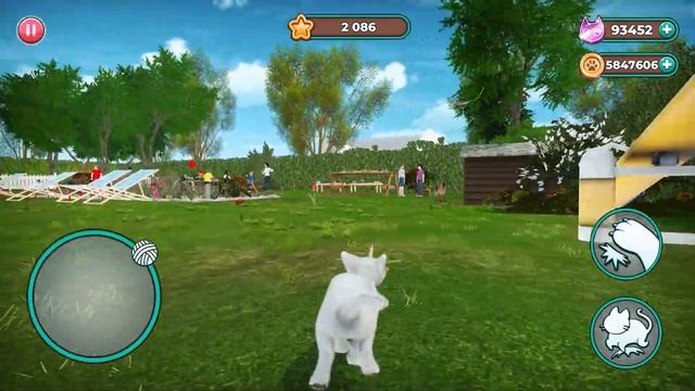 Cat Simulator 2 с Кидом #3 Кот Девон-рекс и Американская короткошерстная кошка на Пурумчата смотреть онлайн