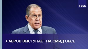 Лавров выступает на СМИД ОБСЕ