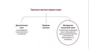 Вакциноуправляемые инфекции у детей: корь