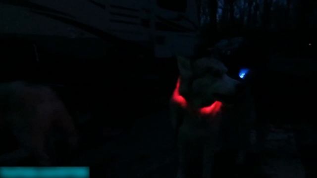 Как Найти и Выбрать Товар Для Продажи в 2020??[Секретная Стратегия Поиска Дропшиппинг Товаров] смотреть онлайн